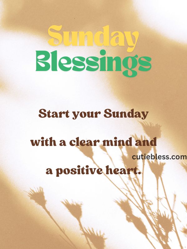Motivational todays image encouraging a clear mind and a positive heart.
