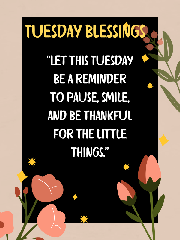 Let this Tuesday be a reminder to pause, smile, and be thankful for the little things