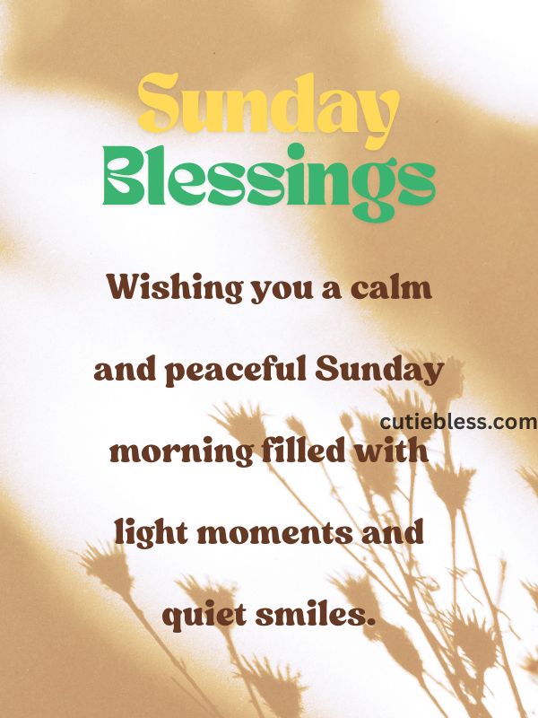 Quote that wishing a calm and peaceful todays morning with light smiles