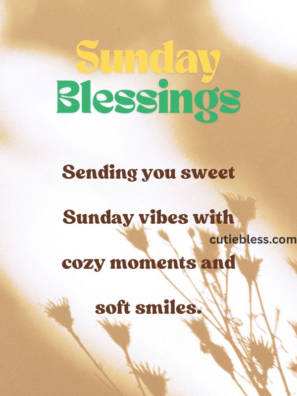 Warm message sending sweet todays vibes with cozy moments and soft smiles.