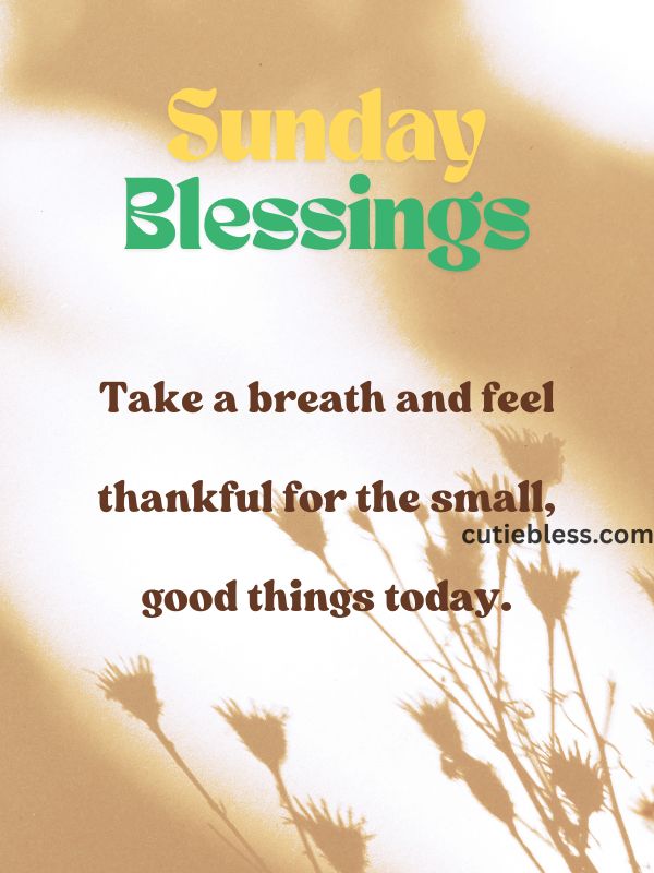 Mindfulness quote reminding to be thankful for small, good things on Sunday.