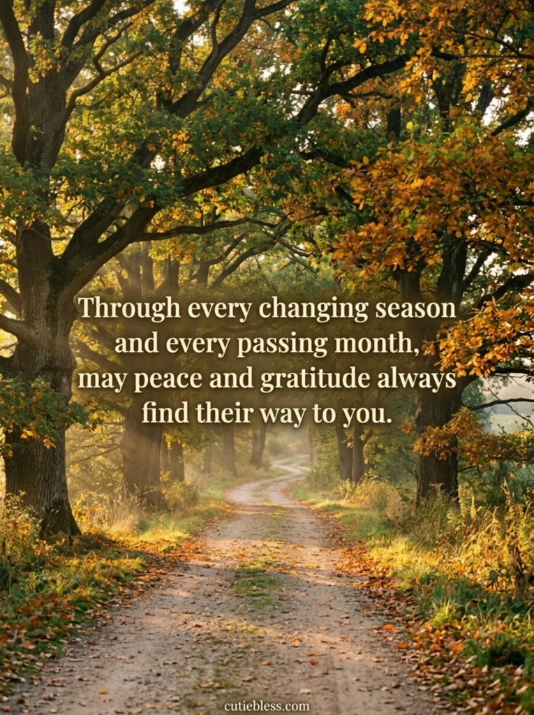 Sunlit country path lined with autumn trees and a blessing quote for every season and month of the year